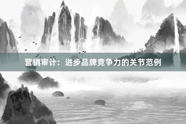 营销审计：进步品牌竞争力的关节范例